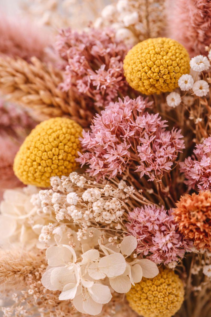 Nahaufnahme von Trockenblumen in Rosa, Gelb und Weiß